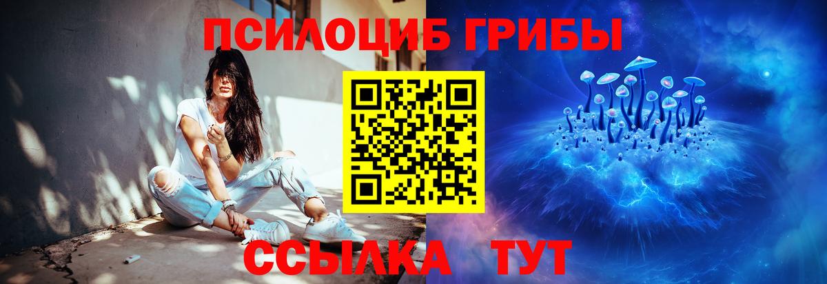 Галлюциногенные грибы Magic Shrooms Ставрополь
