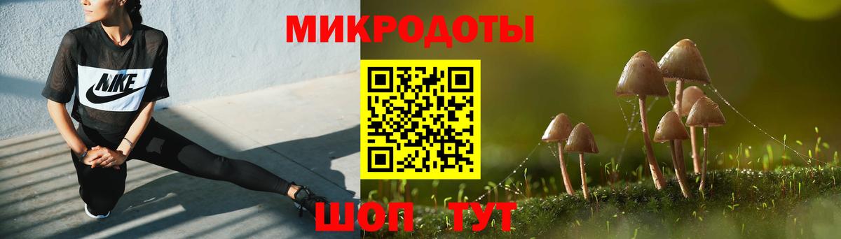 Галлюциногенные грибы Magic Shrooms  Вход с VPN  Псилоцибиновые грибы Magic Shrooms  Ставрополь 